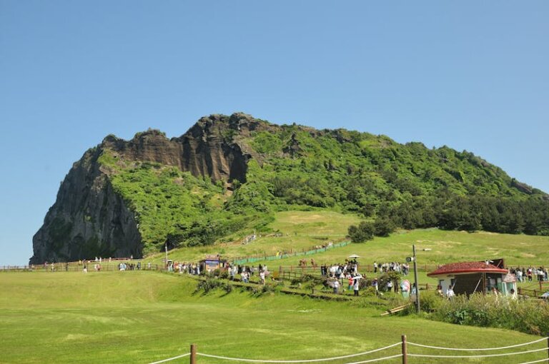 How Many Public Holidays Are There in New Zealand? A Complete Guide to NZ’s Holiday Calendar